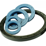 Oil Seals