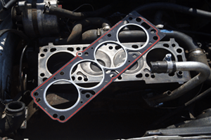 Gasket 300x200
