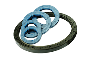 Oil Seal 300x200